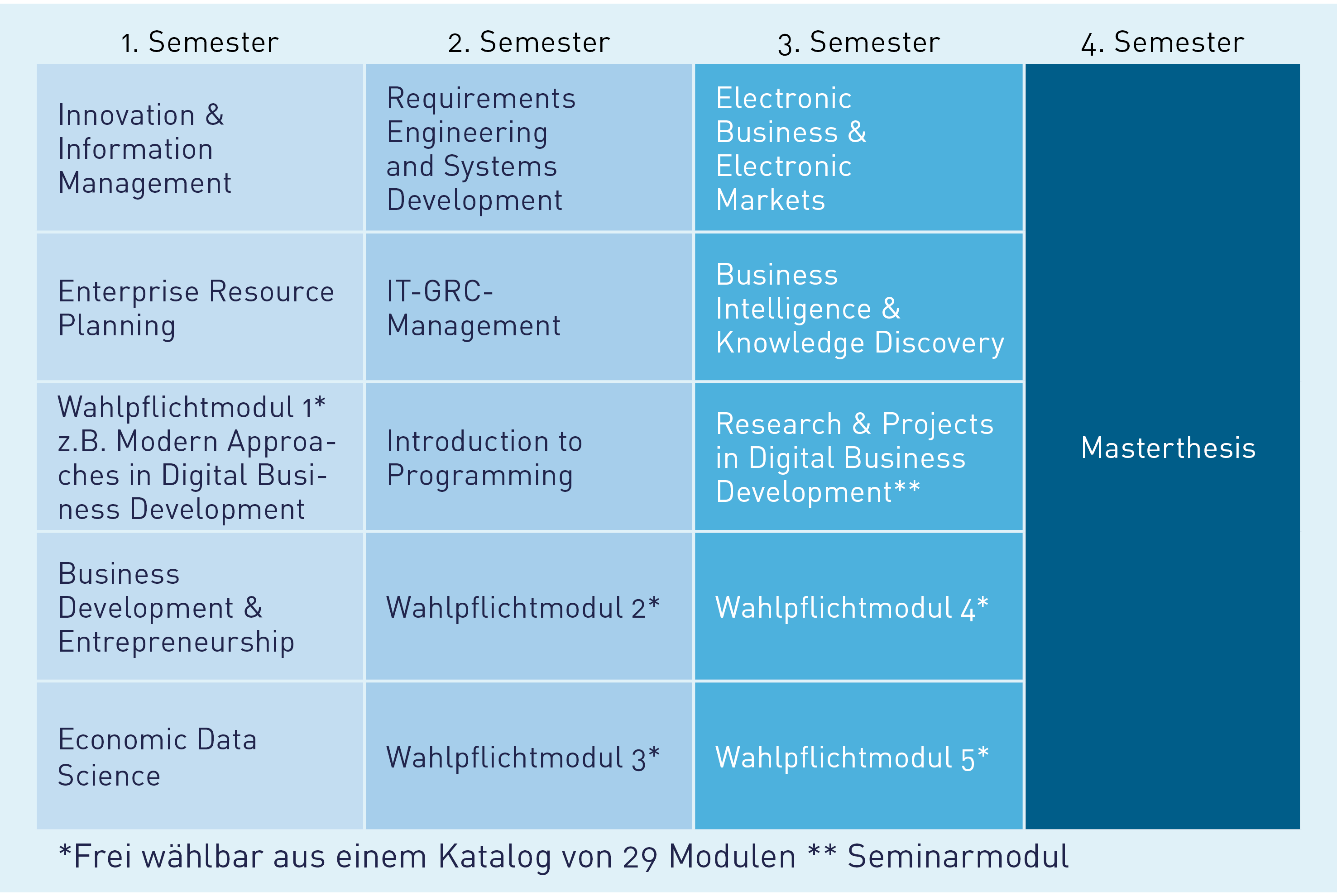 Studienplan Digital Business Development