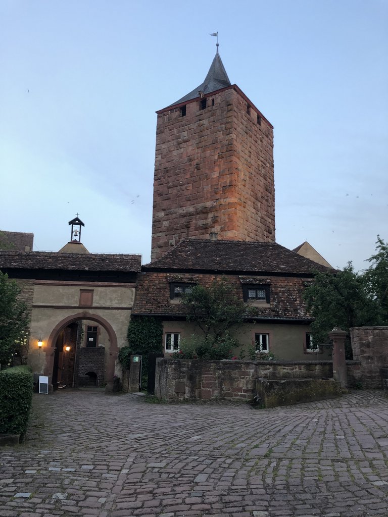 Exkursion Burg Rothenfels - die Burg