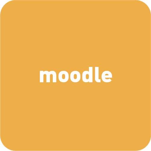Elektronische Lehrplattform MOODLE