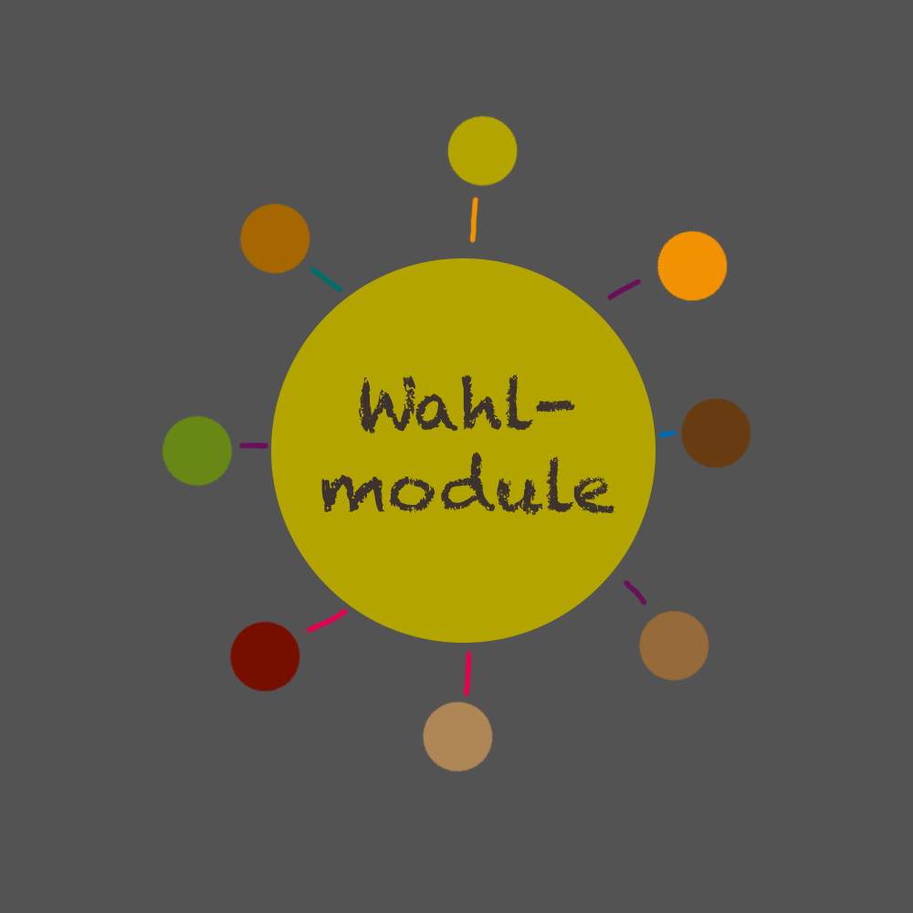 Weblink "Wahlmodule"