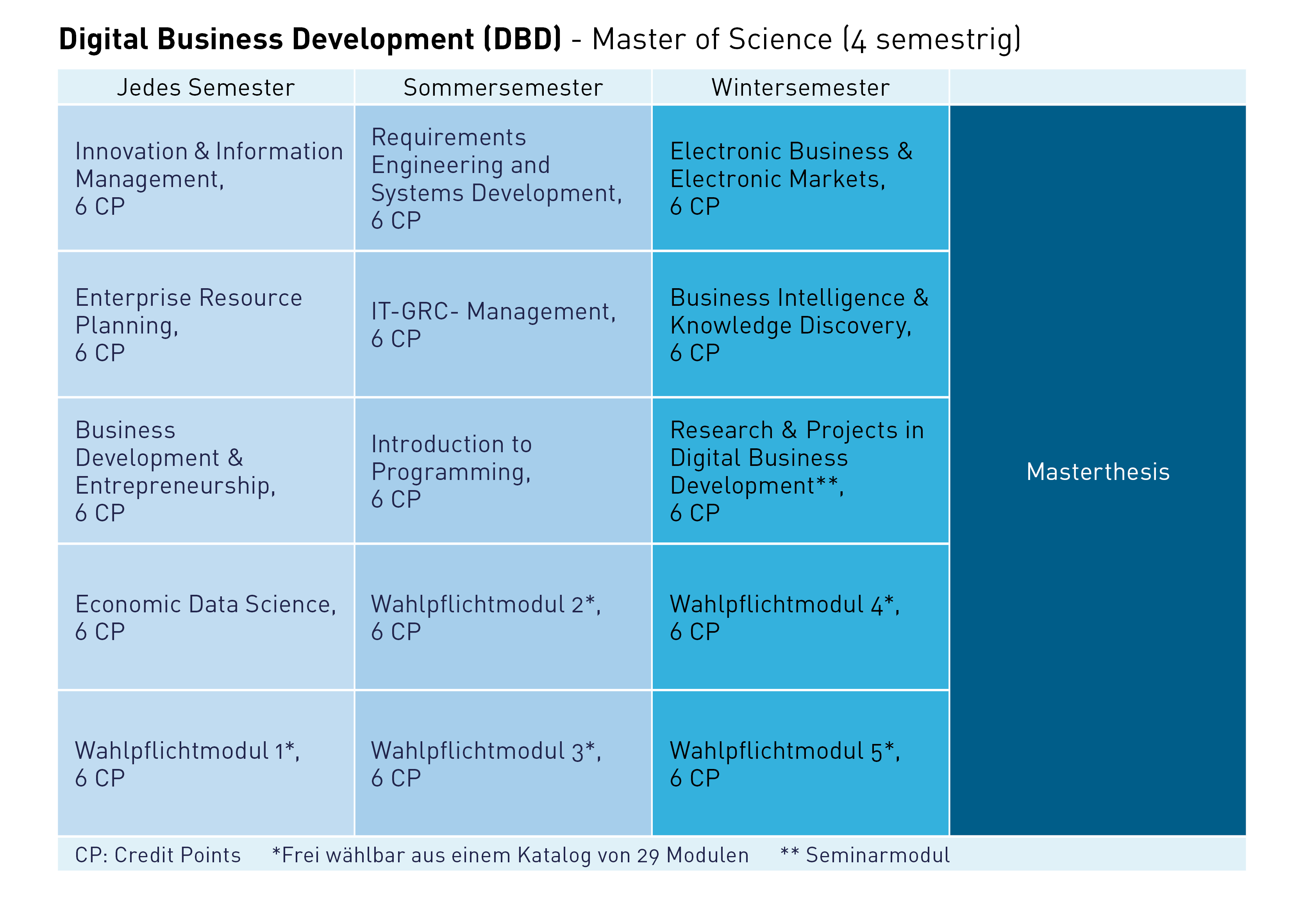 Studium Digital Business Development Master - Studienplan