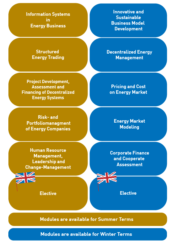 Curriculum Master in Energy Economics