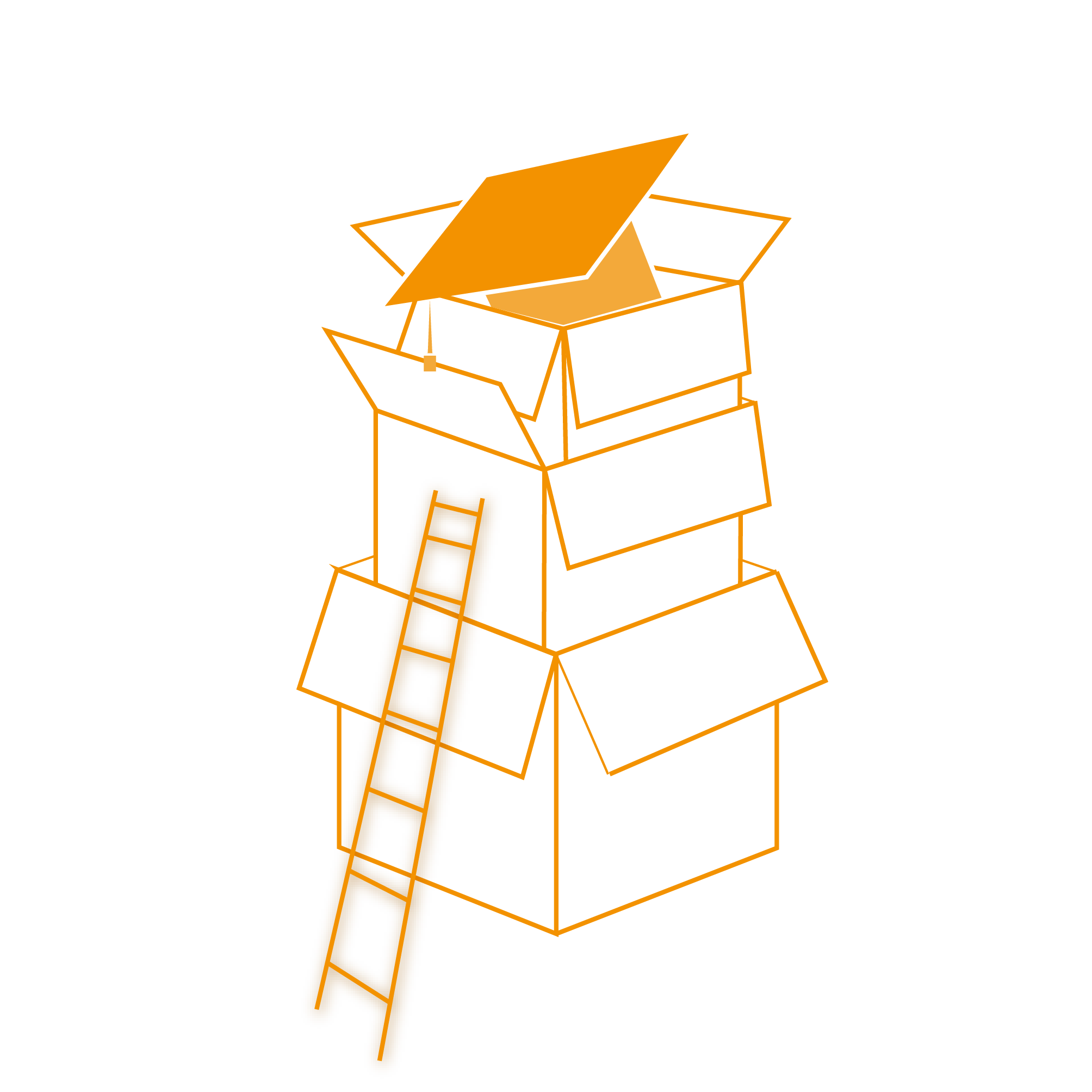 Studienaufbau