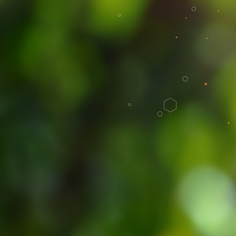 Ankündigung und Programm Wirtschaftsforum 2026