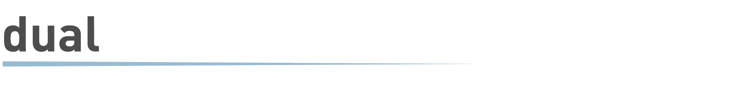 Studiengang Bachelor dual